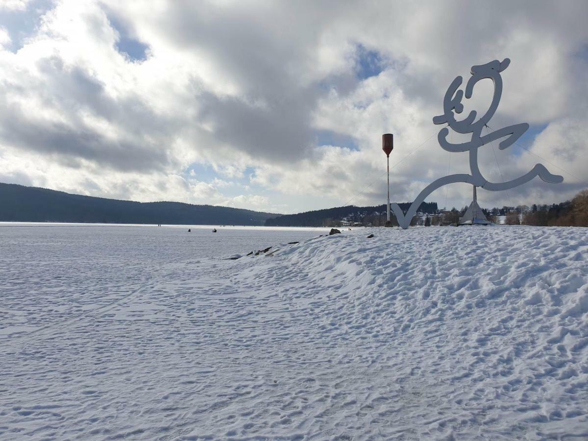 Lipno Nad Vltavou - Apartman 23 - Wifi, Parking, Netflix المظهر الخارجي الصورة