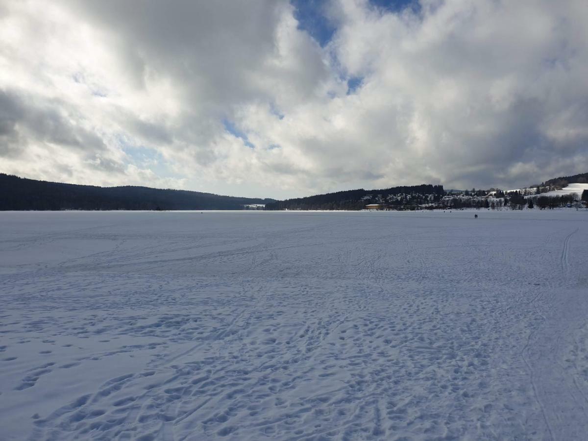 Lipno Nad Vltavou - Apartman 23 - Wifi, Parking, Netflix المظهر الخارجي الصورة